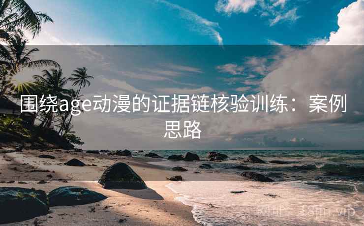 围绕age动漫的证据链核验训练：案例思路