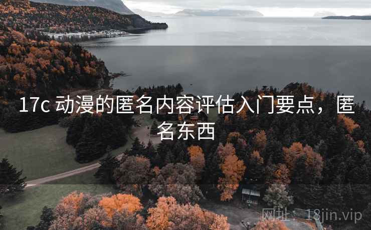 17c 动漫的匿名内容评估入门要点，匿名东西